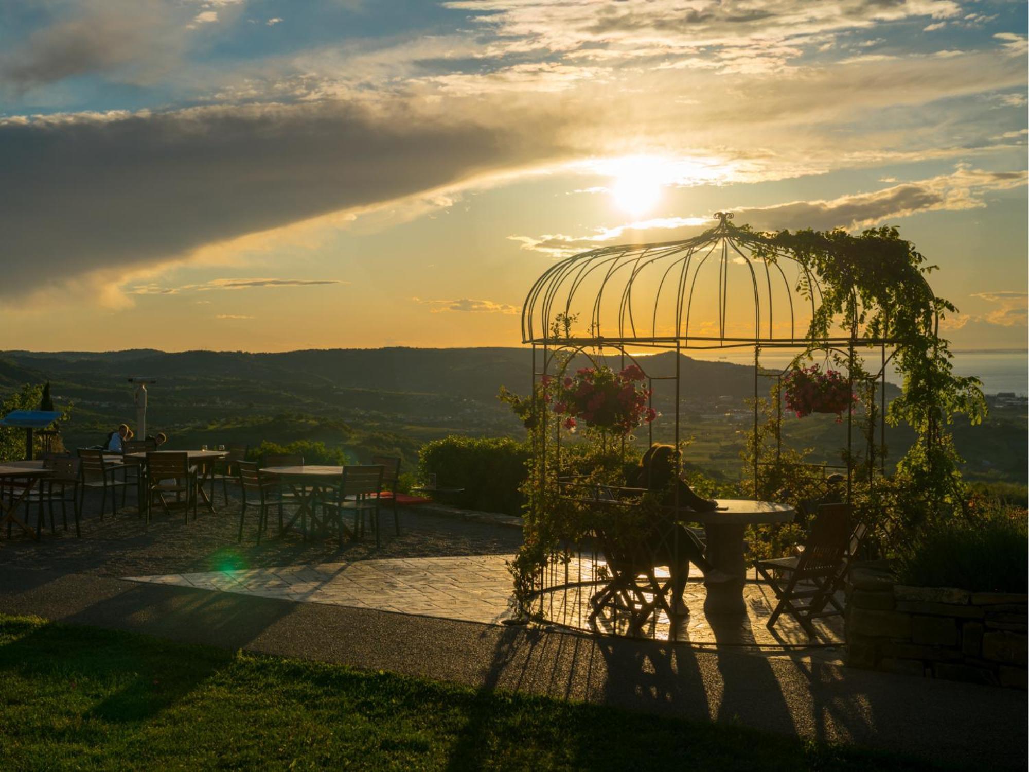 Wine Paradise - Glamping Resort Marezige Extérieur photo