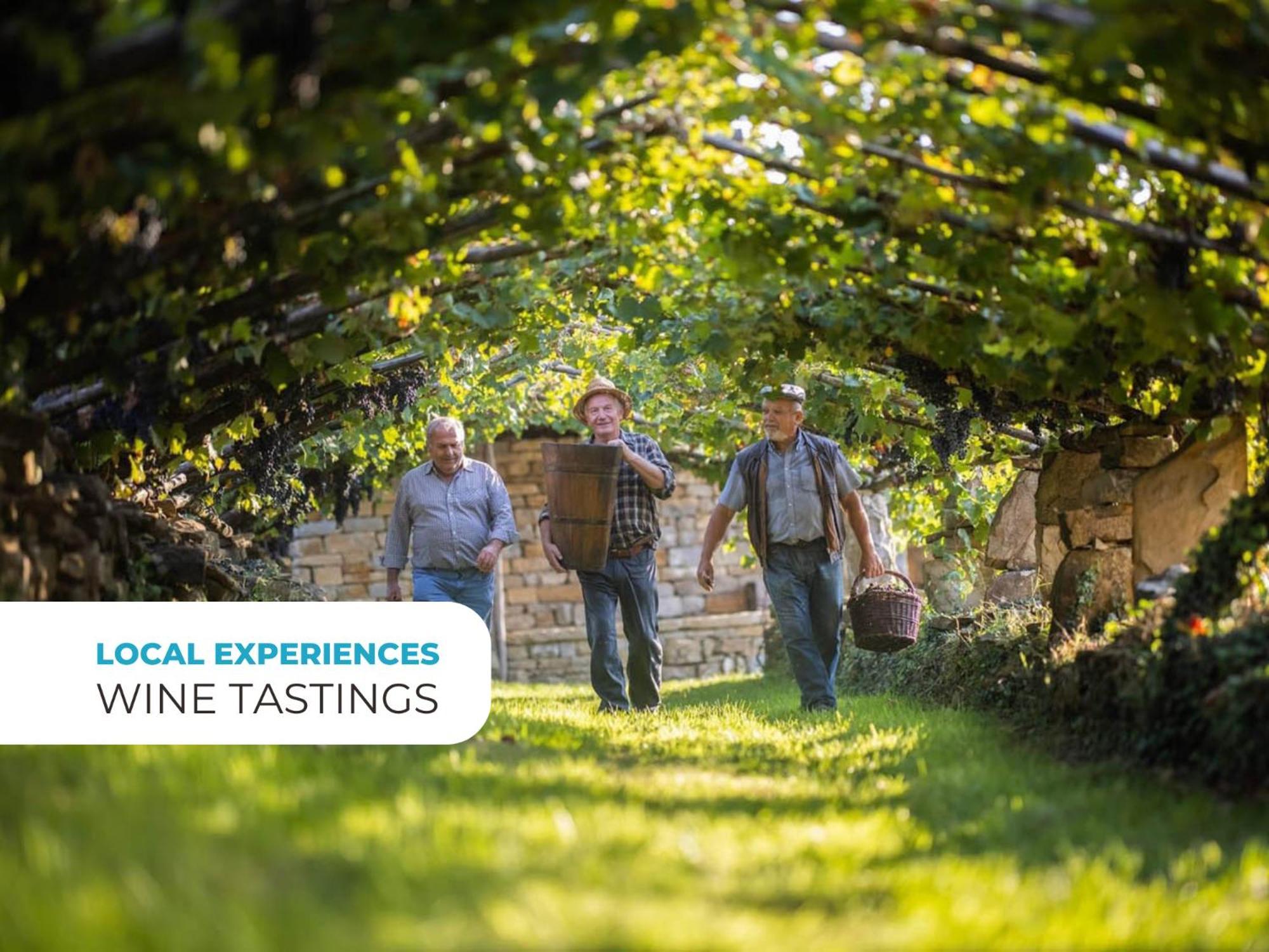 Wine Paradise - Glamping Resort Marezige Extérieur photo