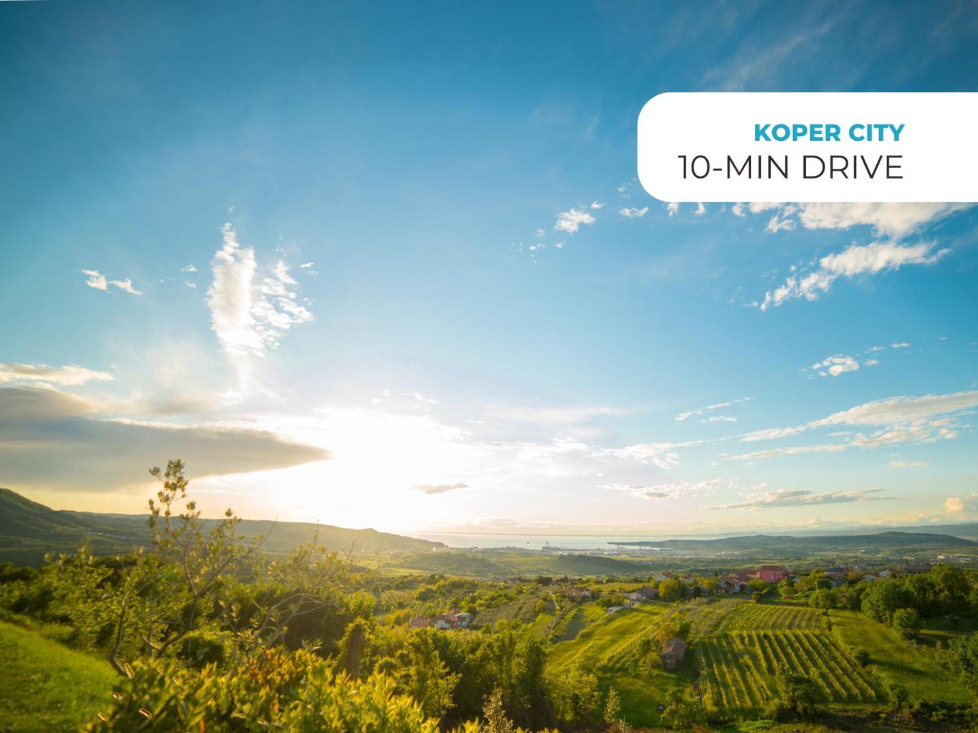 Wine Paradise - Glamping Resort Marezige Extérieur photo